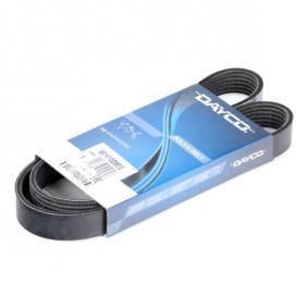 V Kayışı Focus C-Max Benzinli