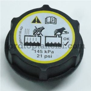 Radyatör Depo Kapağı Fiesta B-Max
