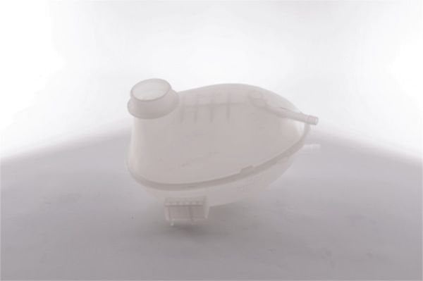 Radyatör Yedek Su Deposu 1.5 Tdci