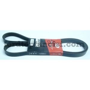 V Kayışı Escort Clx